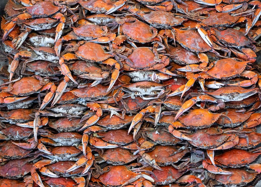 crabs-GETTY - Washingtonian