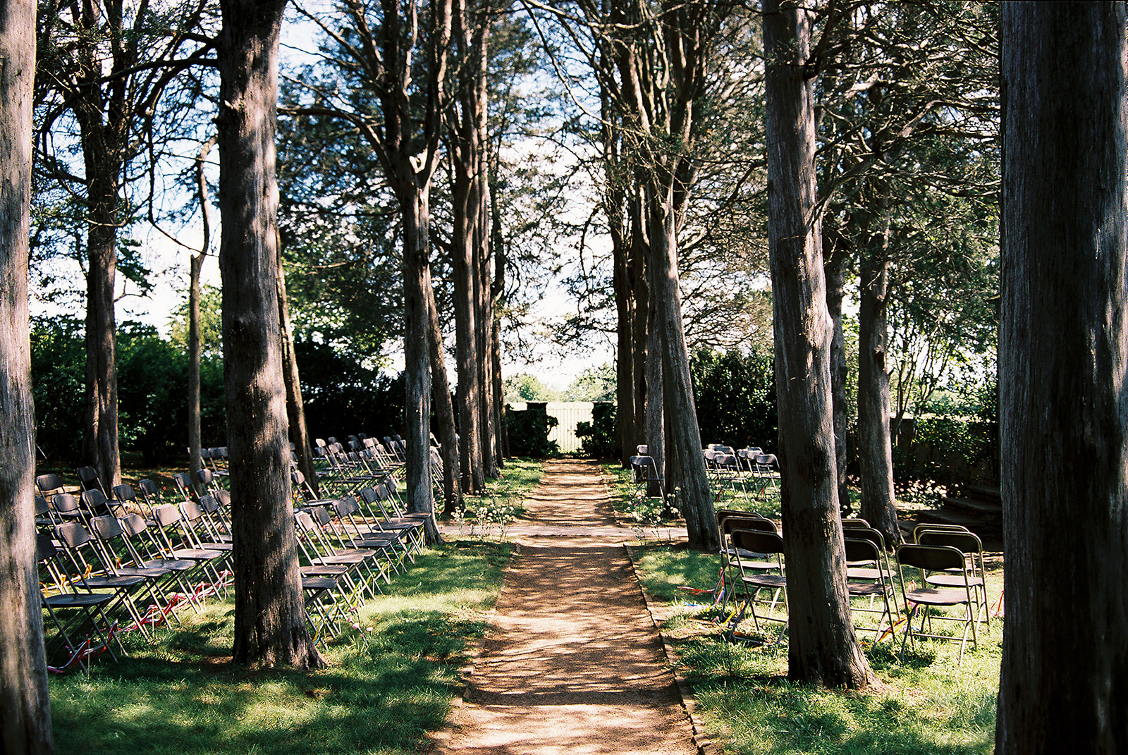 Alexis & Matthew's Wedding | Little Oatlands, VA