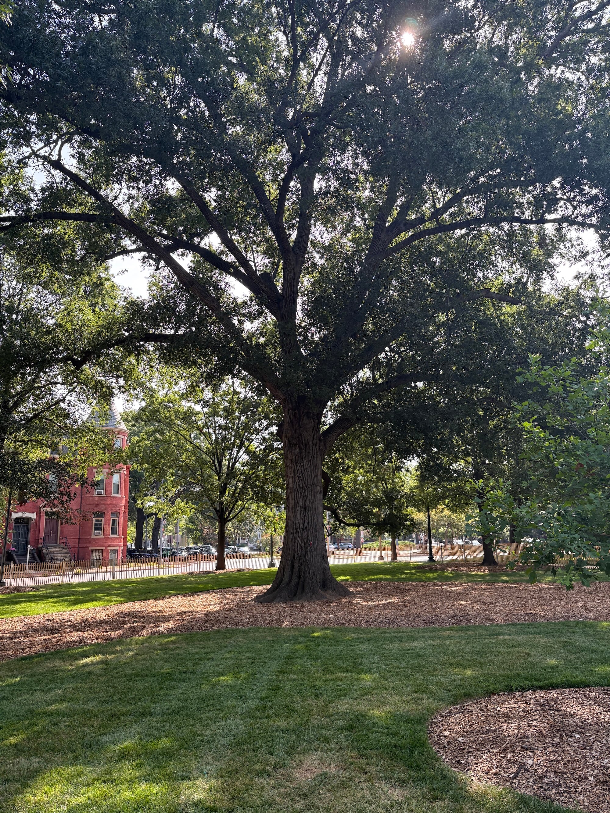 Logan Circle 14