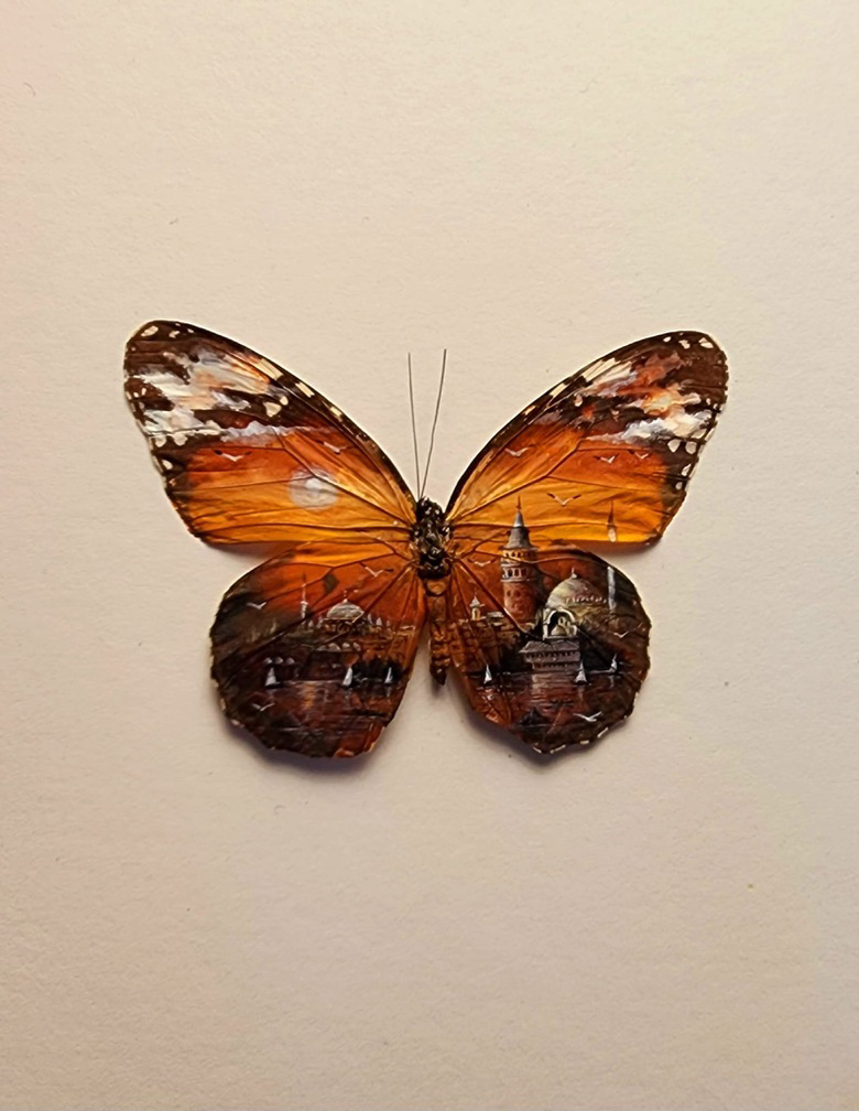 Istanbul on a Butterfly - Washingtonian