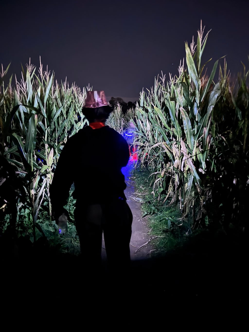 maryland-corn-maze - Washingtonian